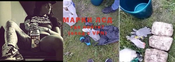 mdpv Арсеньев
