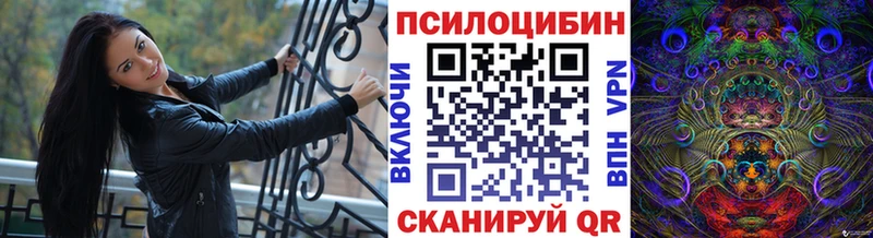 где продают   Ахтубинск  Галлюциногенные грибы MAGIC MUSHROOMS 